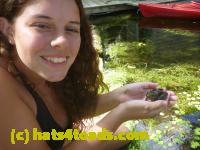 /home//u458753944/public_html/sourcegallery///Frogs/Mixed frogs/P1070617.JPG